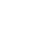 Information Technology (IT)