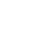 Store Assistant